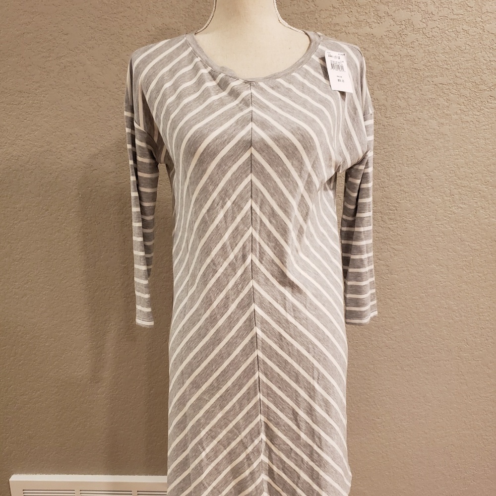 A pea in the pod. Tunic knit sweater